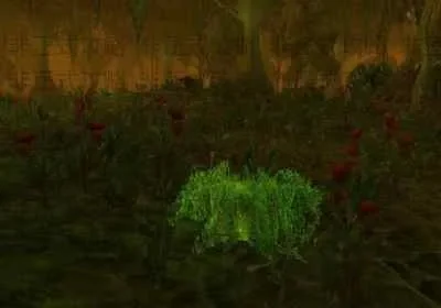 魔兽世界怀旧服墓地苔在哪墓地苔位置介绍